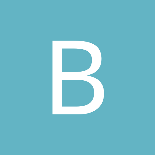 Bleisik