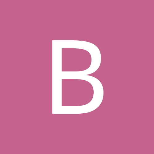 Borysek