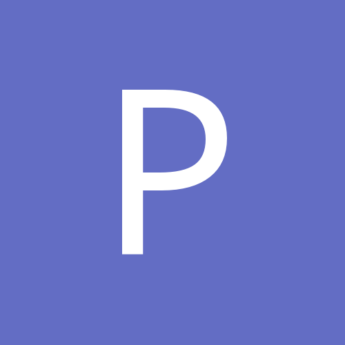 Passajirik