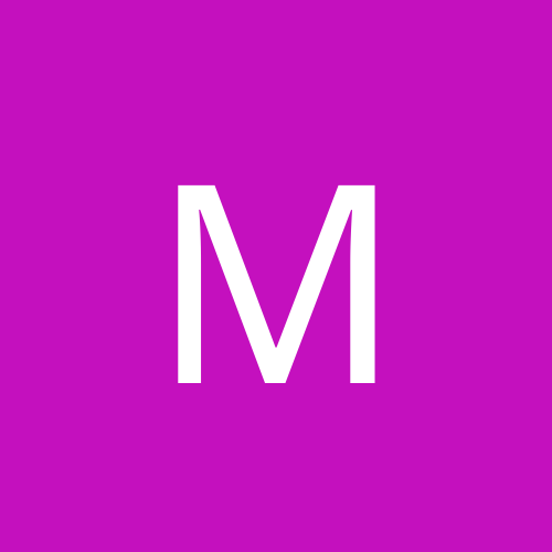 mestir
