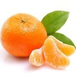 mandarinin023